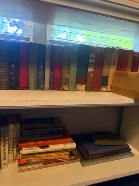 Mixed Vintage Children's Hardcover Book Lot