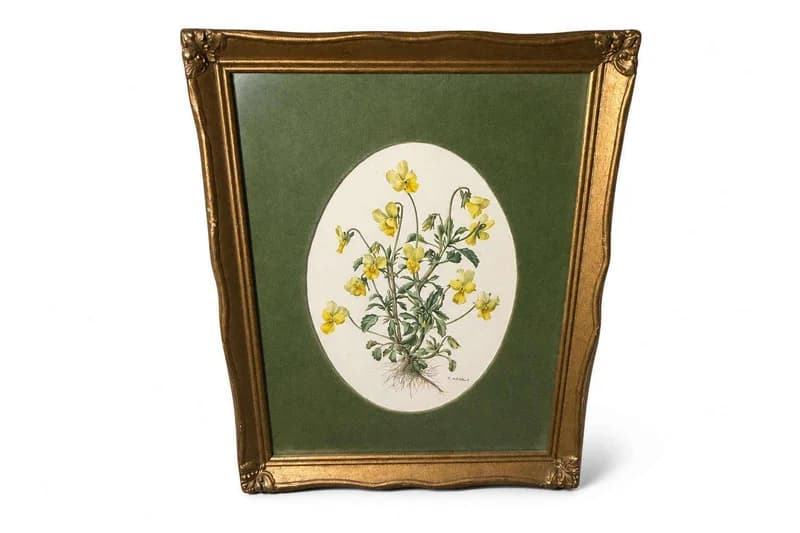 Framed botanical floral print with gold gilt frame and green mat