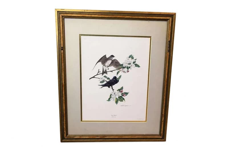 Framed bird and floral watercolor print