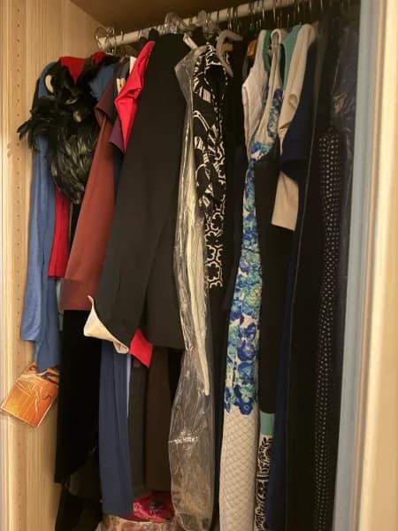 Mixed women's dresses and formalwear clothing lot