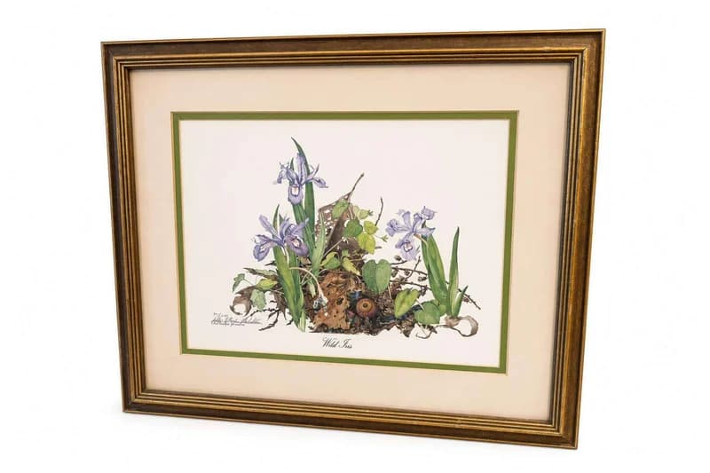 Botanical "Wild Iris" framed print or drawing