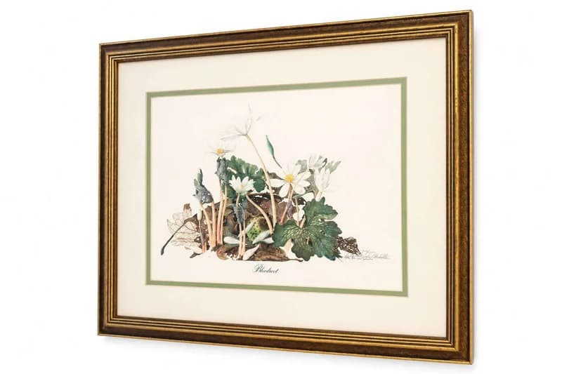 Framed botanical flower print