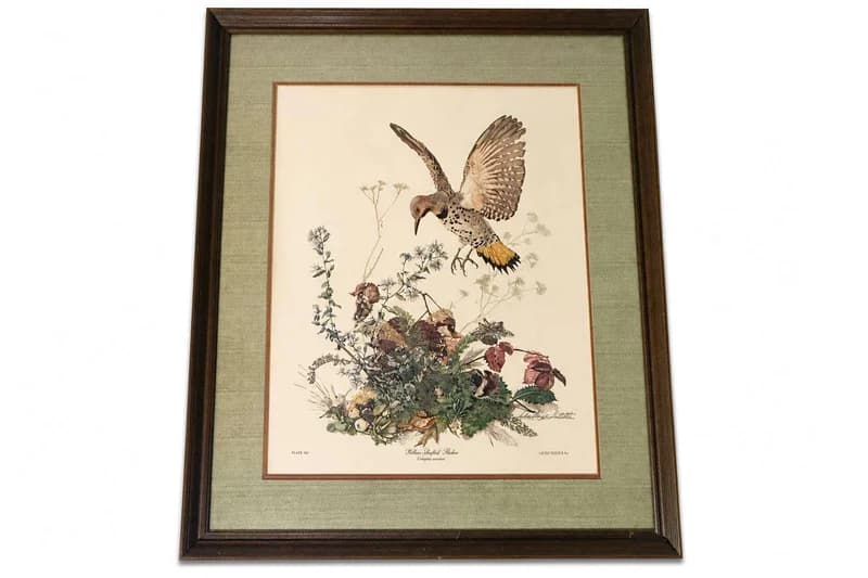 Framed Bird and Botanical Print Wall Art