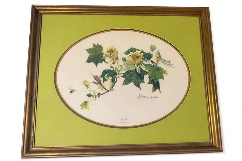 Framed Botanical Flower Print with Green Mat and Gold Frame
