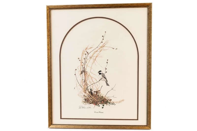 Framed botanical bird-and-nest mixed-media wall art